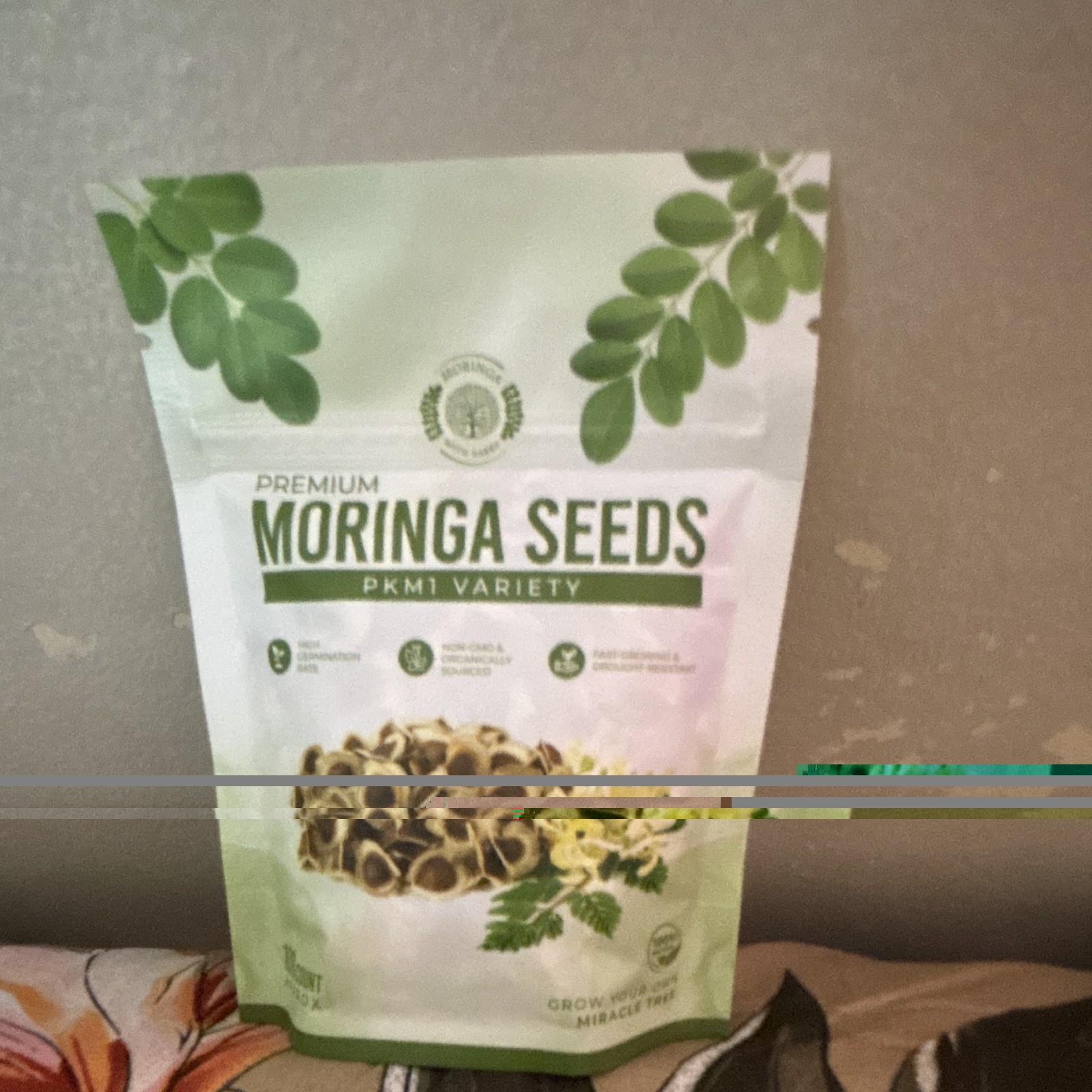 Moringa Tree Seeds PKM1 Variety MPN PKM1