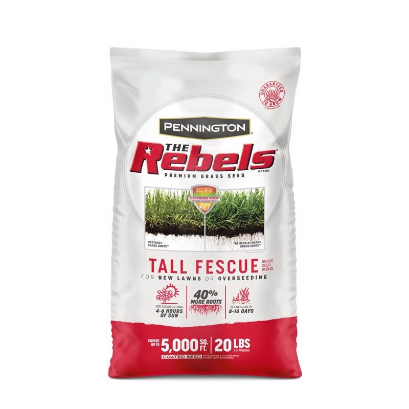 Pennington The Rebels Tall Fescue Grass Seed 20 lb Sun or Shade
