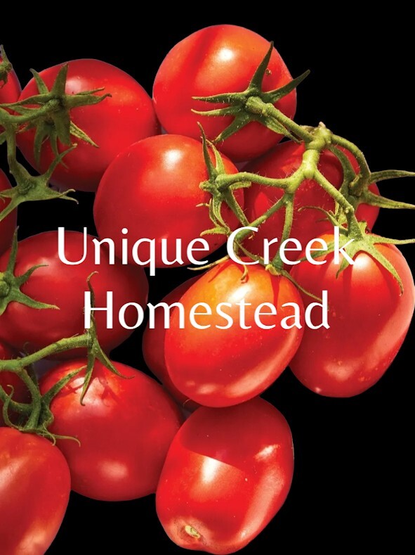 ROMA Tomato Seeds Organically Grown Unique Creek Homestead Gardens