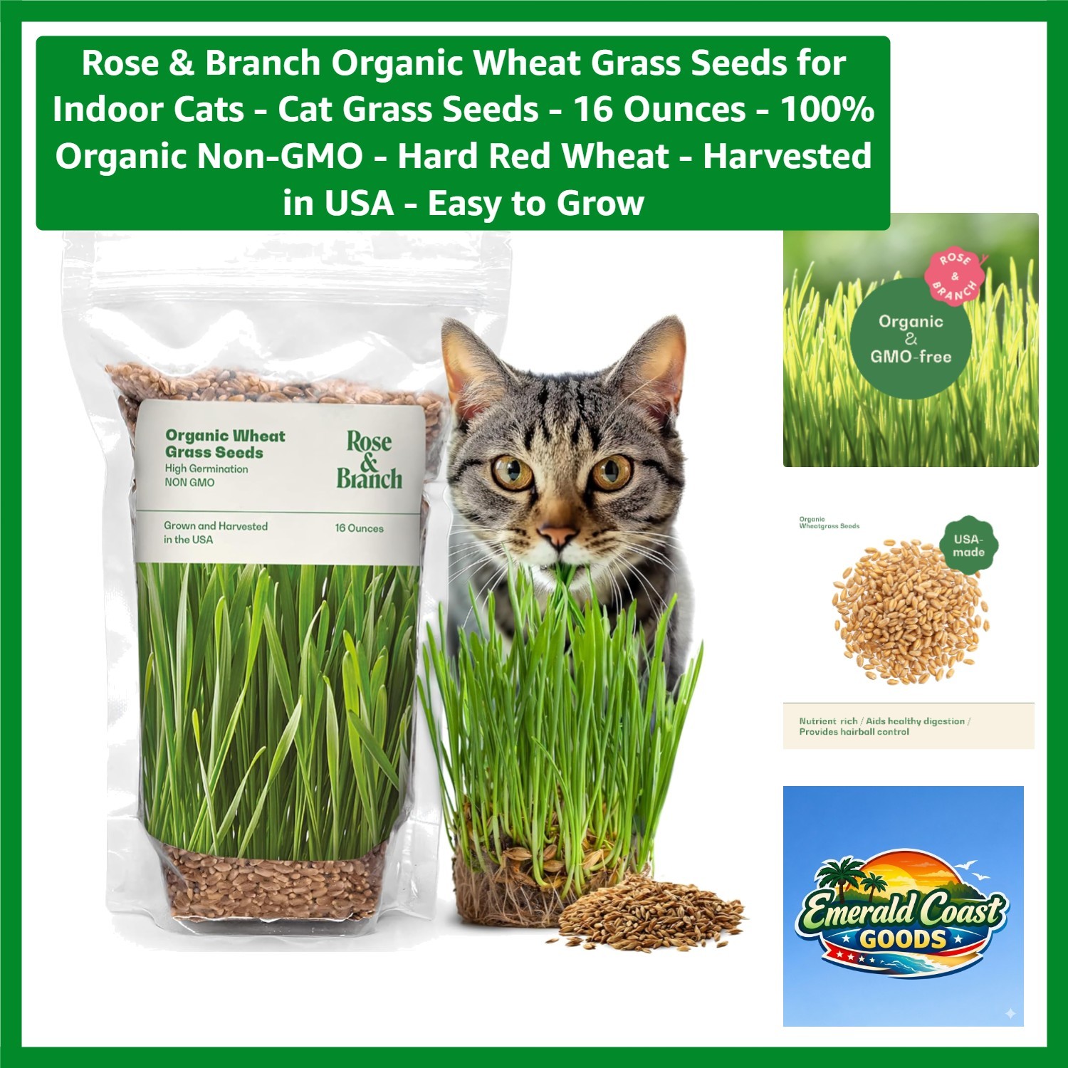Sustainable Indoor Cat Grass Seeds – 16oz Organic Wheat for Happy & Healthy Pets
