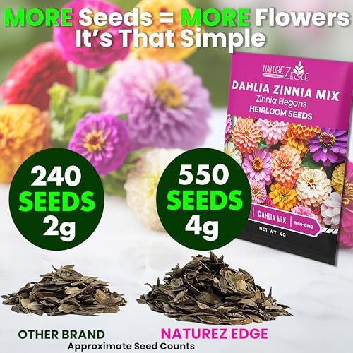 Zinnia Seeds for 2026 Planting Outdoors, Over 550 Dahlia Mix Multi Color