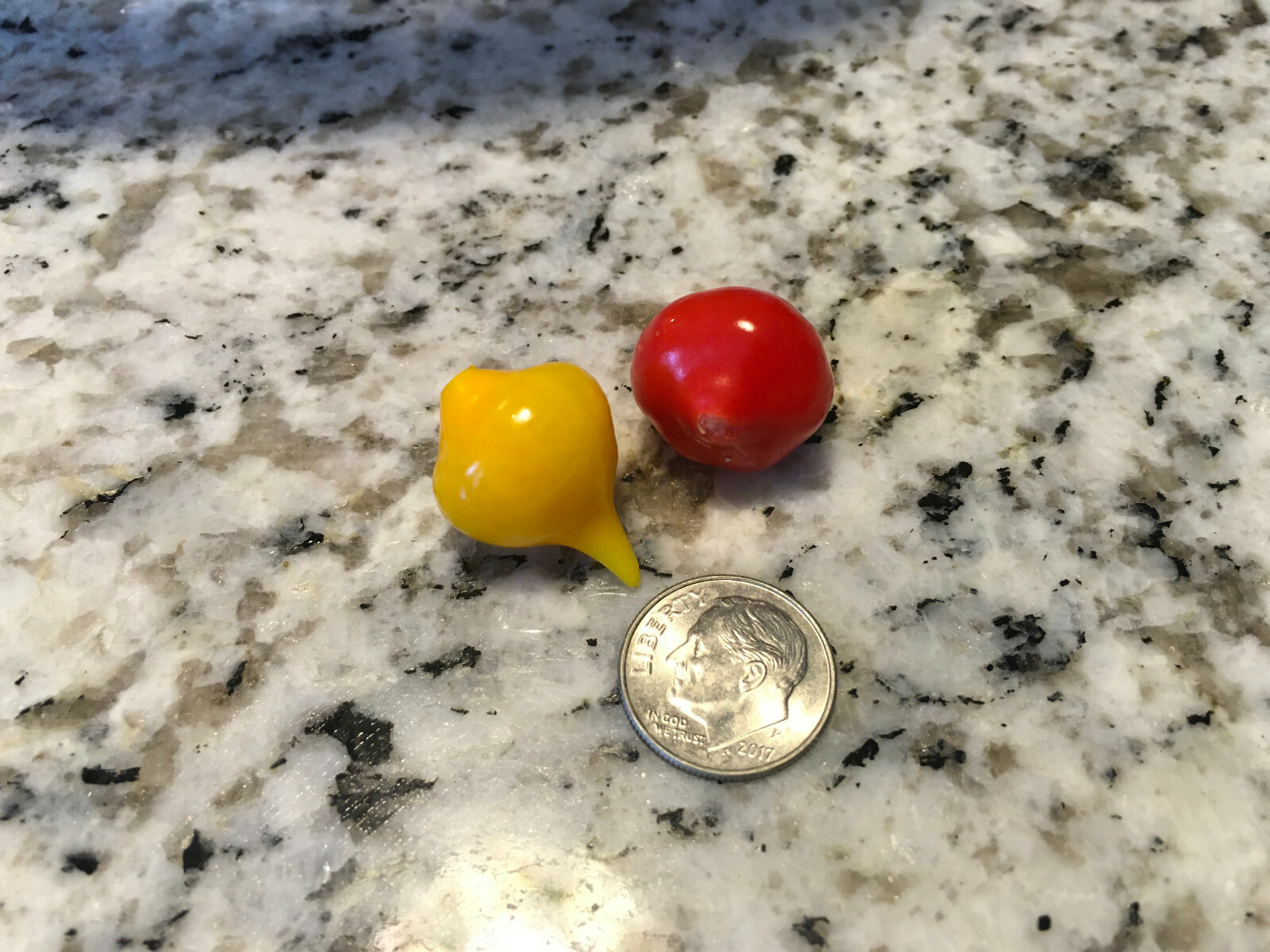 Sweety Drops Pepper Seeds Biquinho Petit Poivrons Qty 15+ (YELLOW) Free Shipping