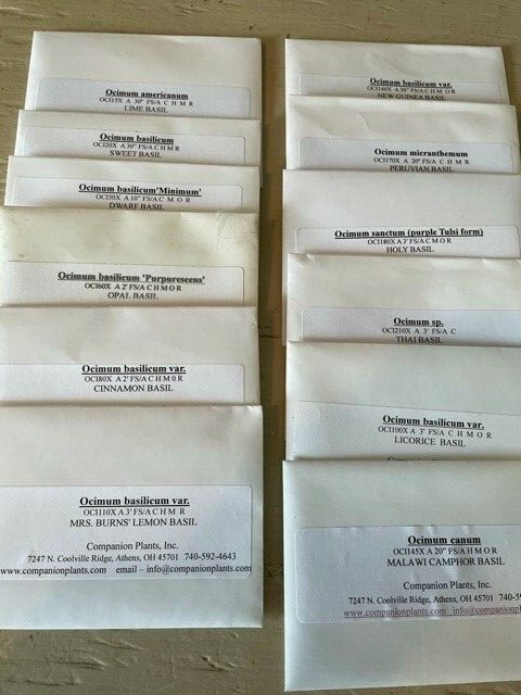 Basil Seed Collection Unique Herb Garden Ocimum 12 different species 12 packets