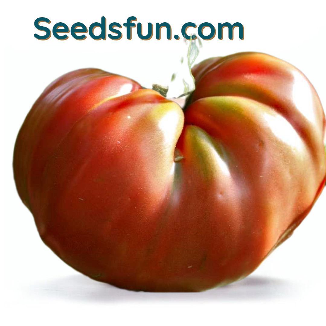 50+ Brandywine Tomato Seeds, Heirloom, NON-GMO.