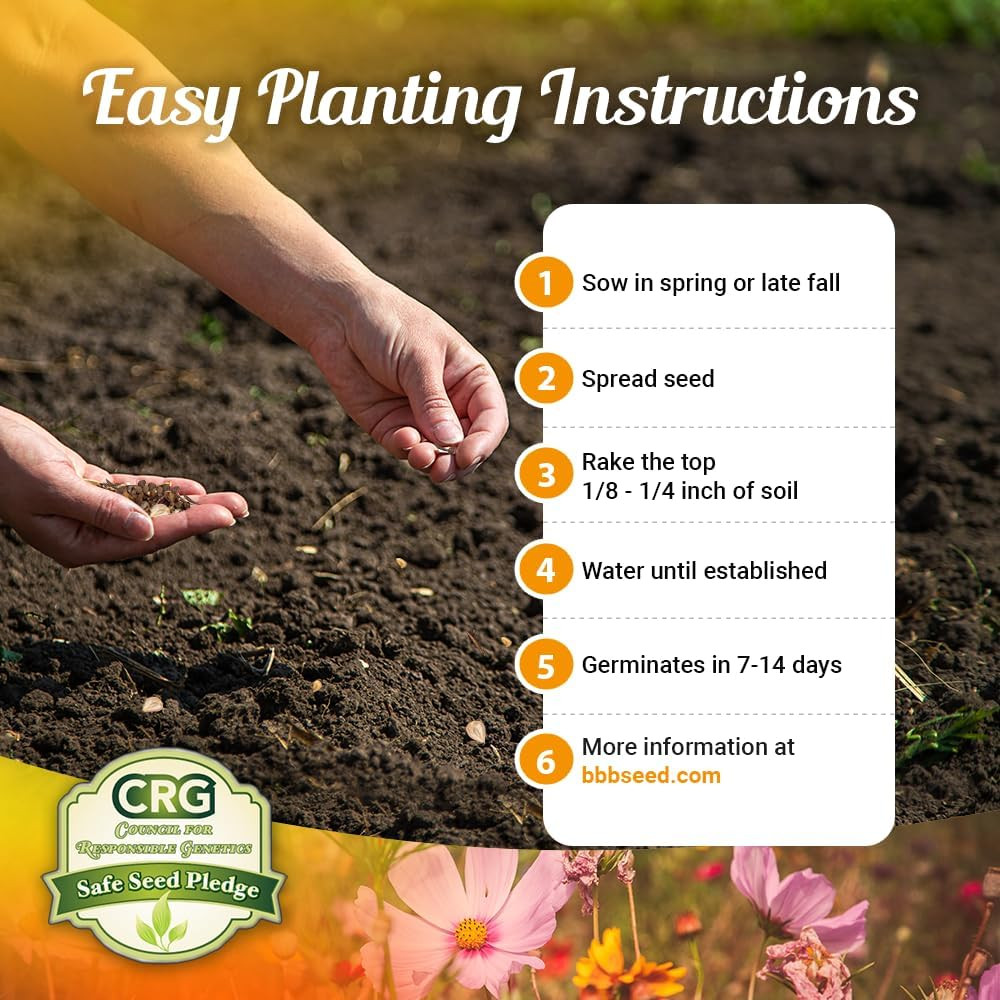 Drought Tolerant Wildflower Seeds – 4Oz Packet, Open-Pollinated Bulk Flower Seed