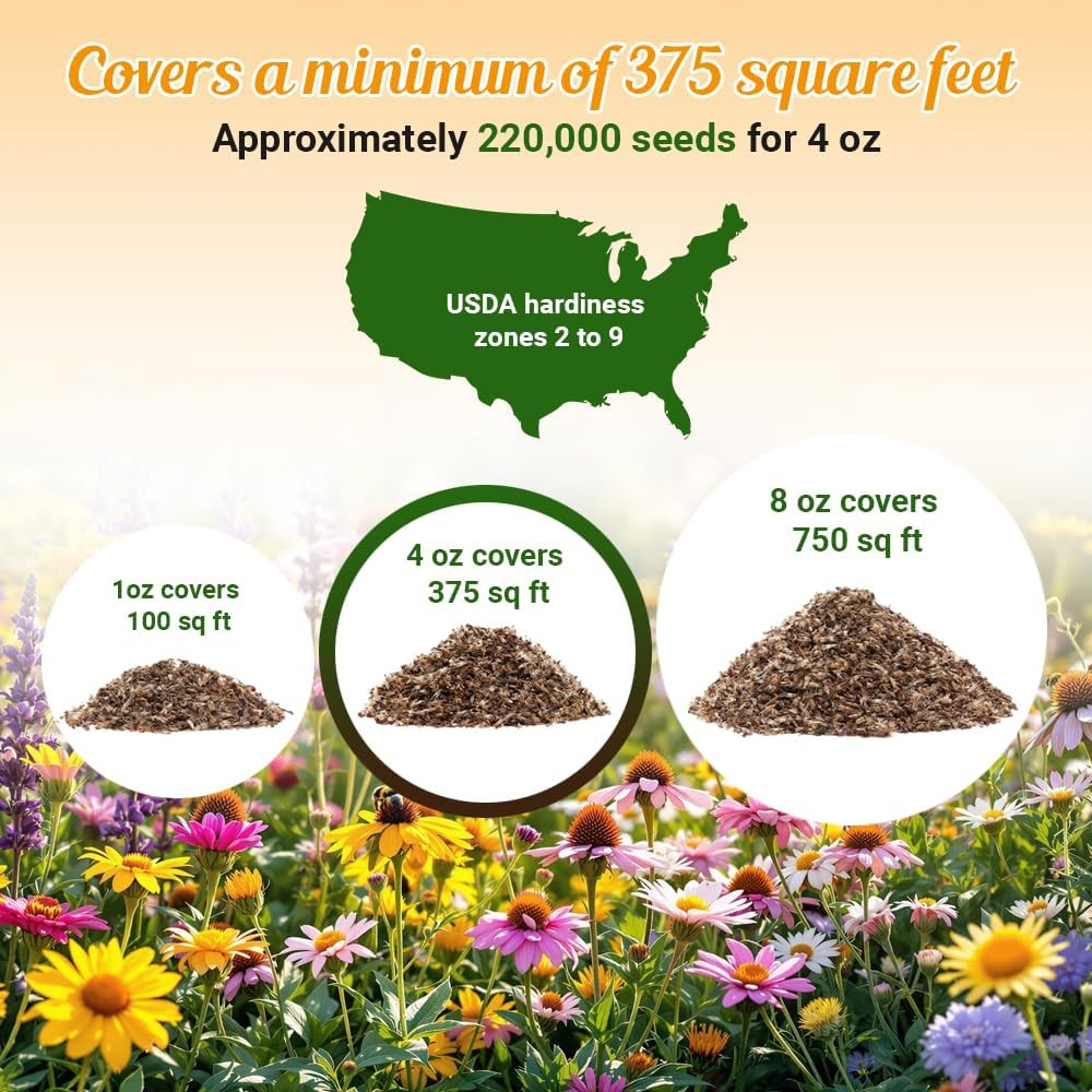 Drought Tolerant Wildflower Seeds – 4Oz Packet, Open-Pollinated Bulk Flower Seed
