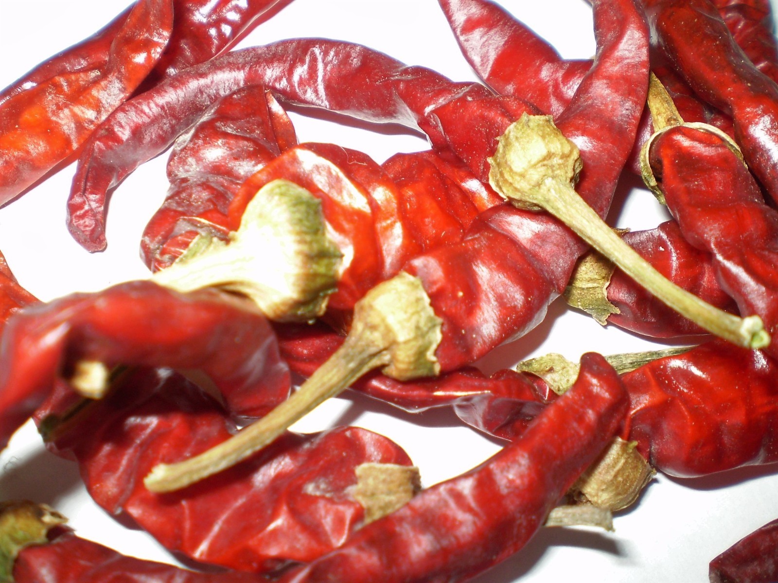 Corno Di Capra chili pepper seeds non-gmo open pollinated GREAT FRYER STUFFER