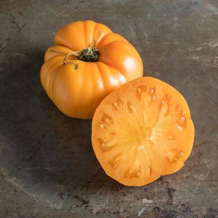 240+ Yellow Brandywine Tomato Seeds ———- Heirloom — NON GMO ——- FRESH