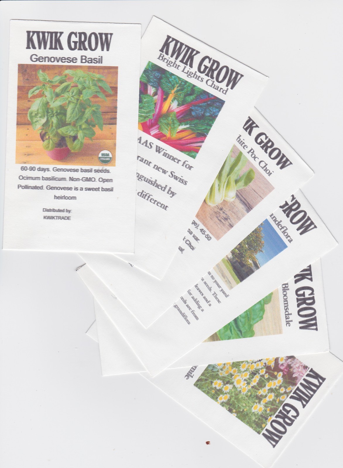 200 Seeds Mache, Corn Salad, Open Pollinated, NON GMO Free Shipping & Tracking