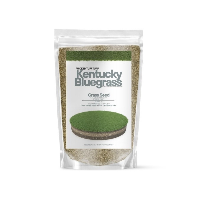 Old Cobblers Farm™ Wicked Tuff Turf Kentucky Bluegrass Seed – Strong Germination