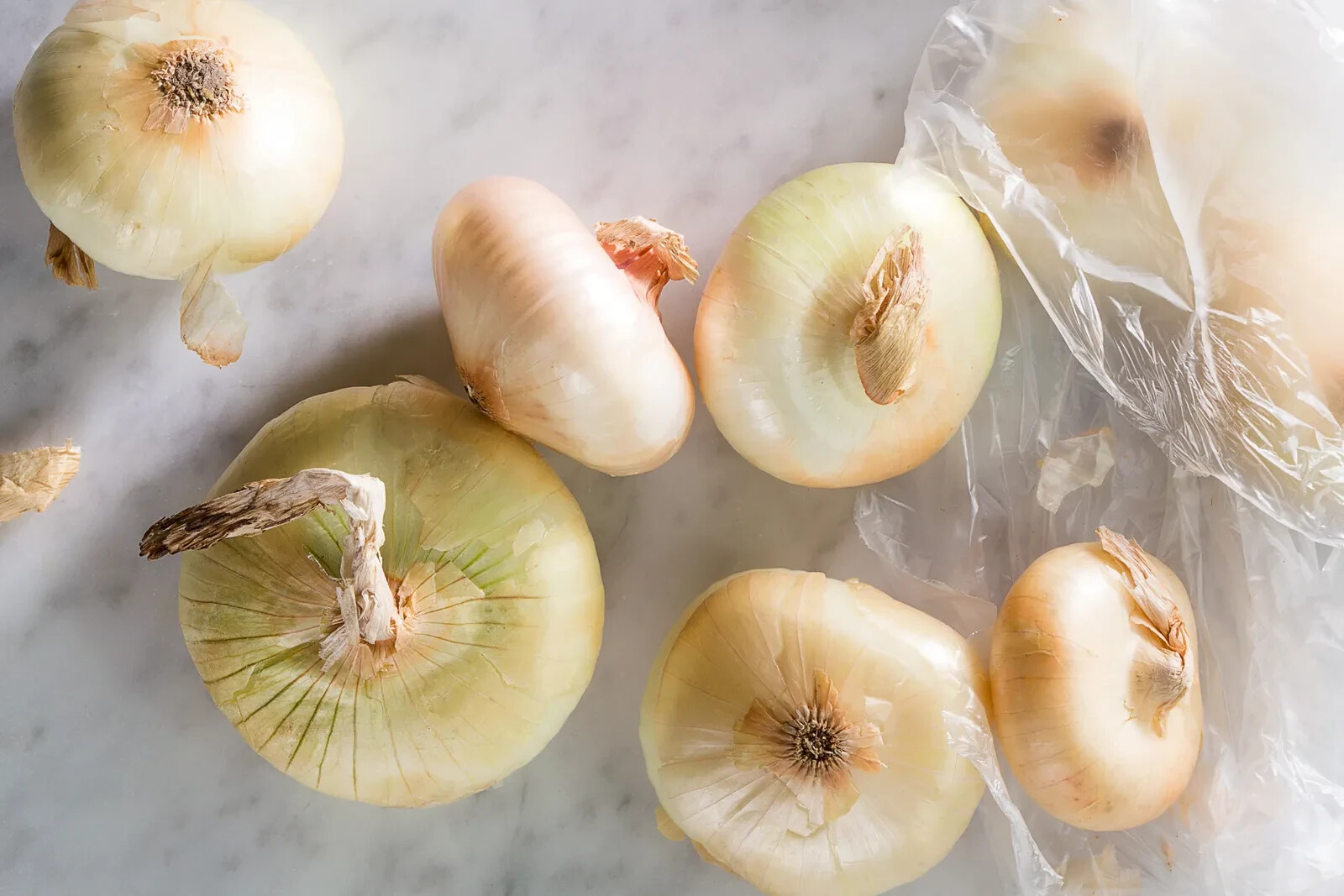 500+ Cipollini (Italian Pearl) Onion Seeds – Planting – USA – FREE SHIPPING!