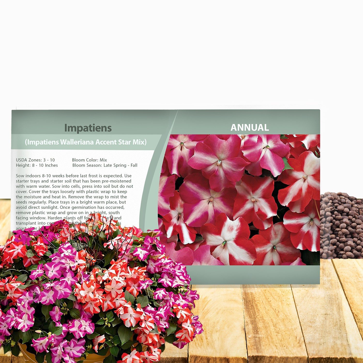 200 Seeds Impatiens Walleriana Accent Star Mix- Impatiens Seeds