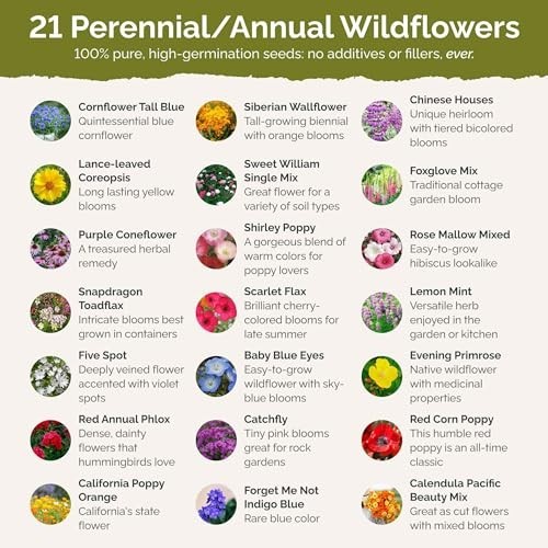Wildflower Mixed Seeds for Partial Shade – 120,000+ Seeds, Attracts Pollinators,