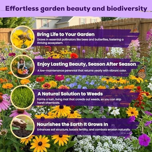 200,000+ Wildflower Seeds Bulk – 16 Varieties Perennial & Annual Mix, Attract Po