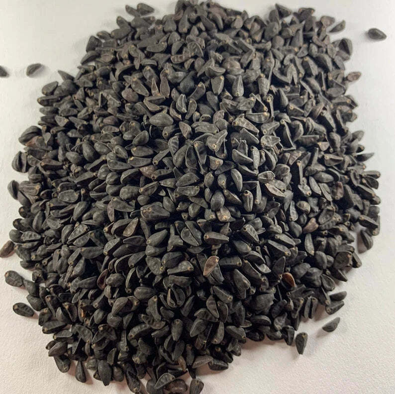 1/2 oz Heavenly Blue Morning Glory [Ipomoea Tricolor] Seeds