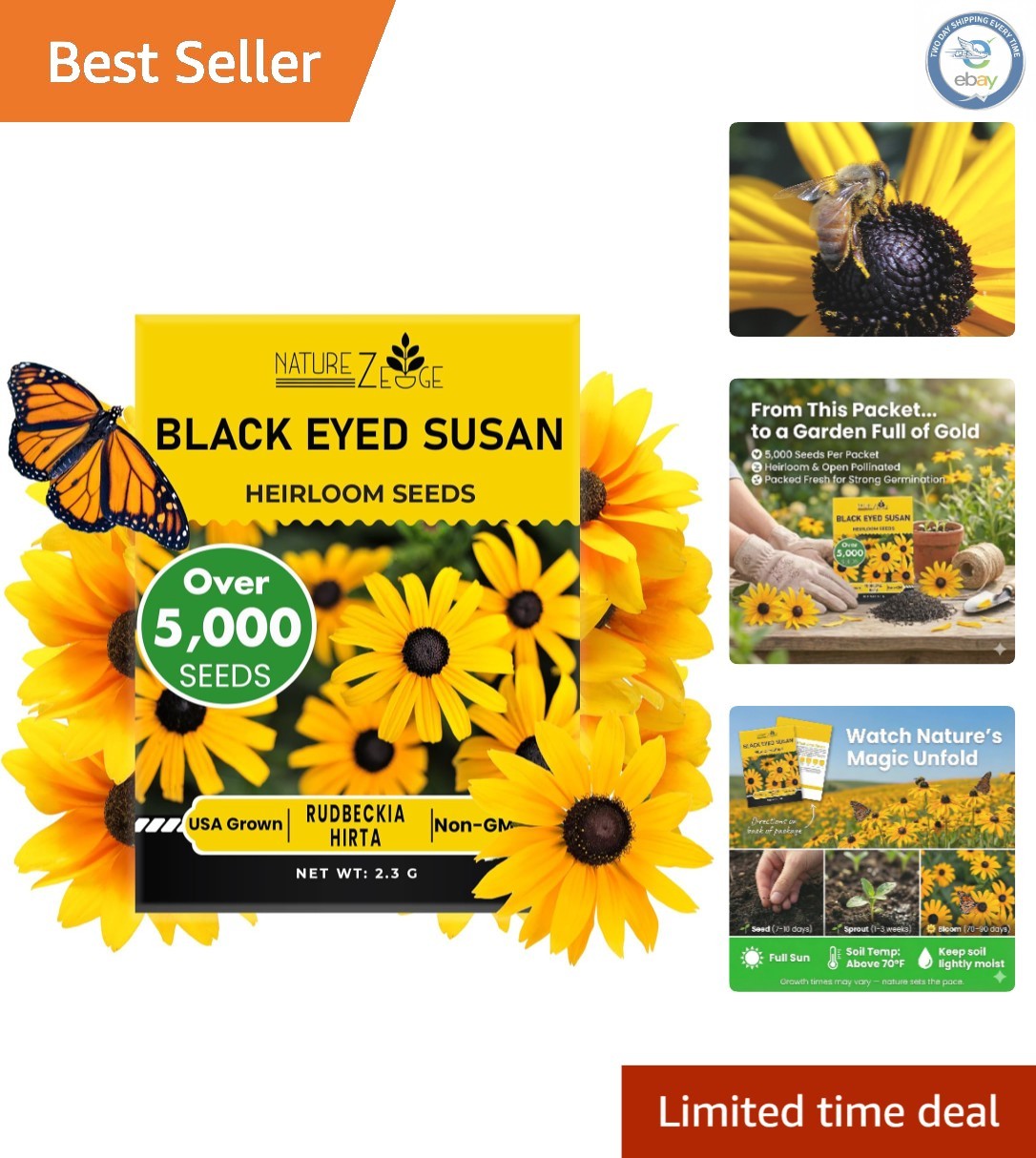Black Eyed Susan Seeds – 5000 Non-GMO Seeds for Indoor or Outdoor Growing