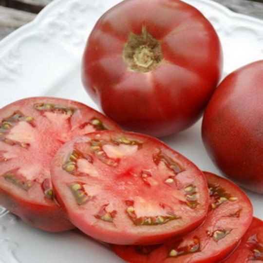 100 Cherokee Purple Tomato Seeds Heirloom Organic – Non-GMO – Always Fresh Seeds