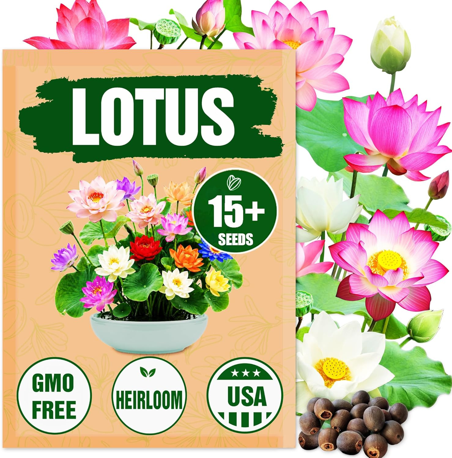 Rare Lotus Seeds for Planting – 15 Pre-Cut Bonsai Lotus Flower Seeds in Water –