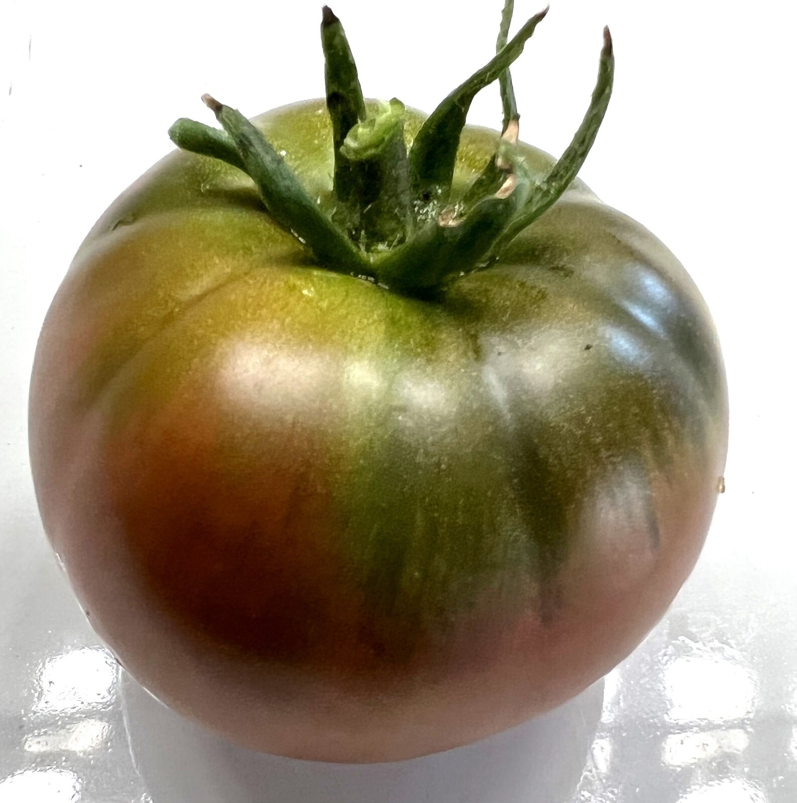 Black Krim Tomato Seeds | Heirloom | Organic