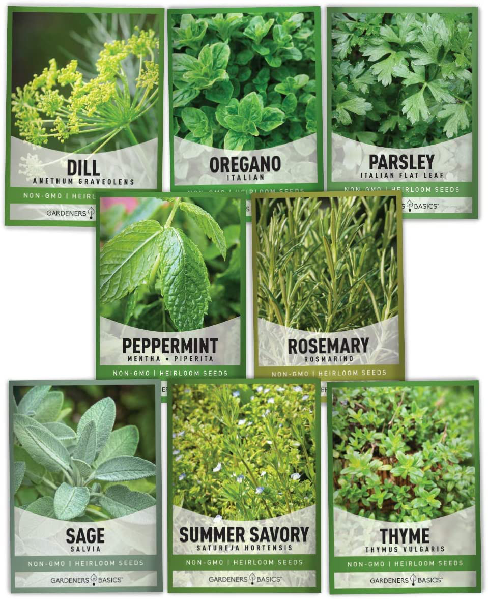 15 Herb Seeds For Planting Varieties Heirloom Non-GMO 5200+ Seeds Indoors, Hydro