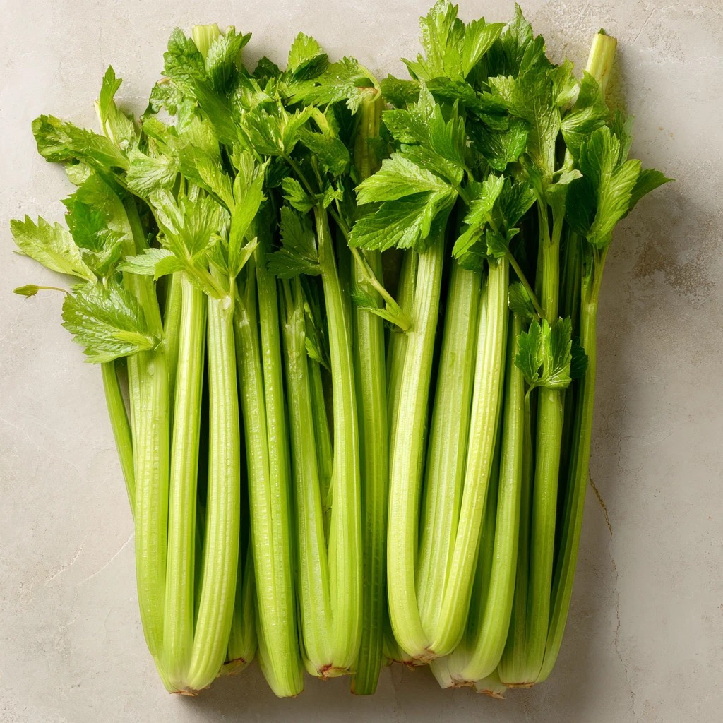 1500+ TENDERCRISP CELERY SEEDS ———– HEIRLOOM