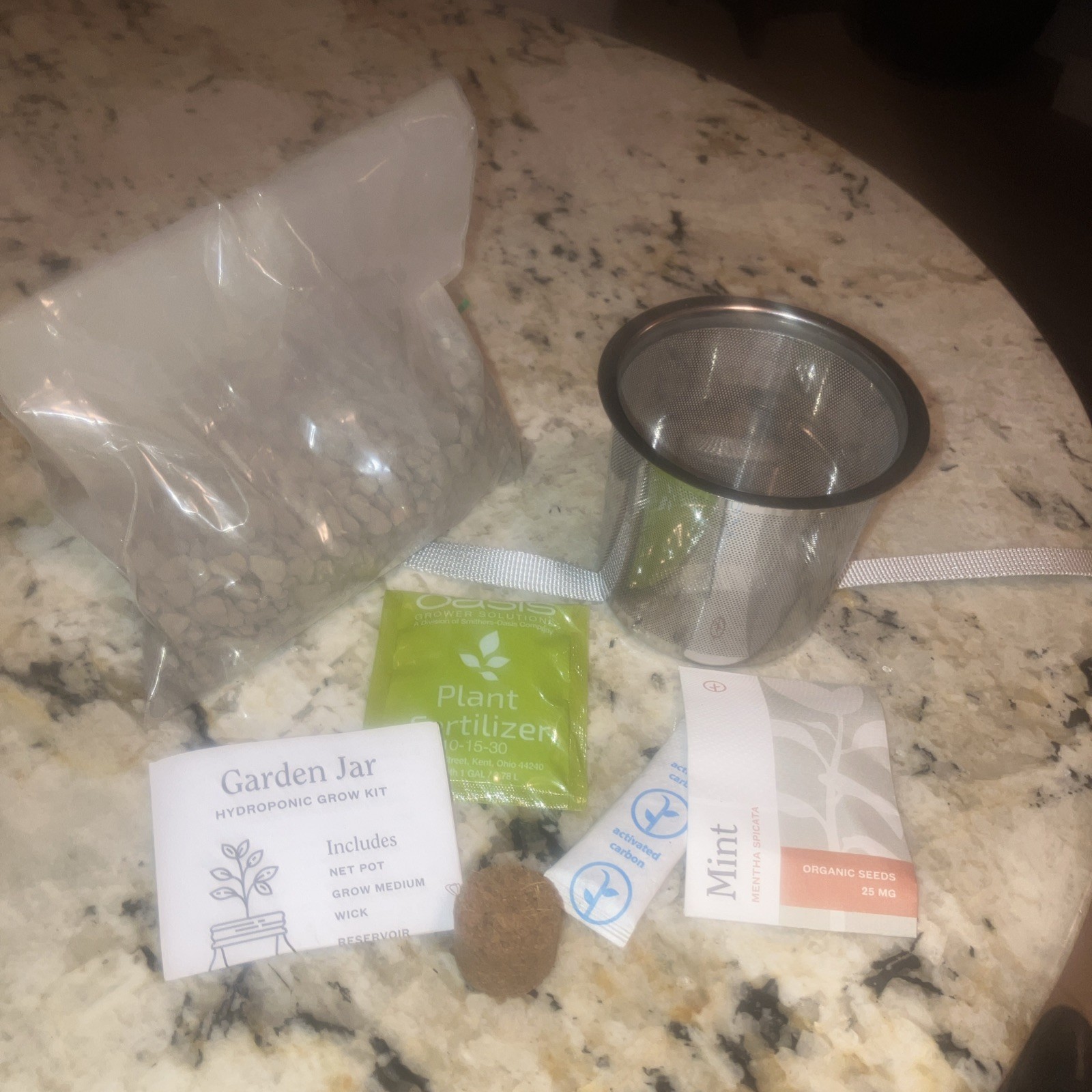 Garden Jar Mint Growing Plant Kit – Jar Not Included