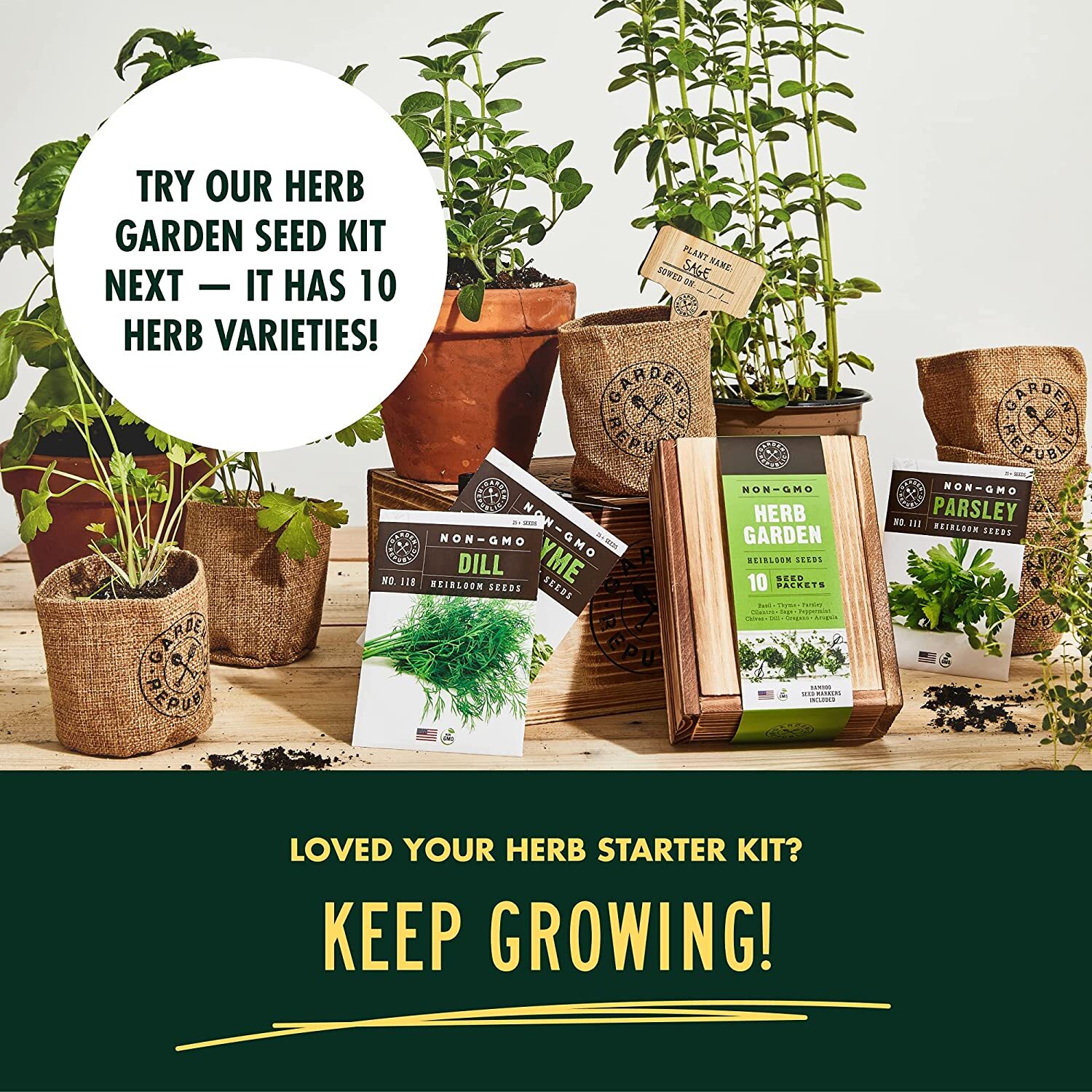 Garden Republic Indoor Herb Garden Starter Kit – Coriander,Basil,Parsley,Thyme