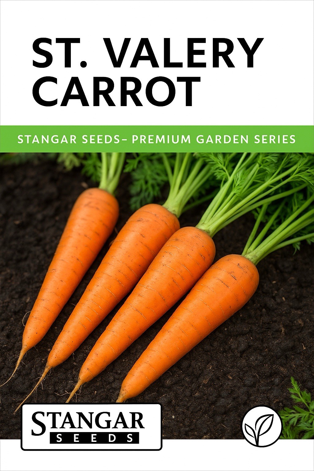 St Valery Carrot Seeds Heirloom Vegetable Non GMO 100% Organic 2026 Fresh