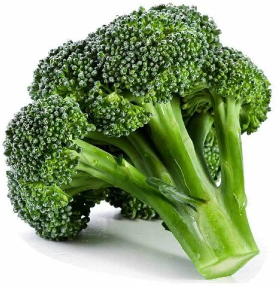 Broccoli Calabrese Seeds ,” COOL BEANS n SPROUTS”, Non GMO Jacobs Ladder Ent.