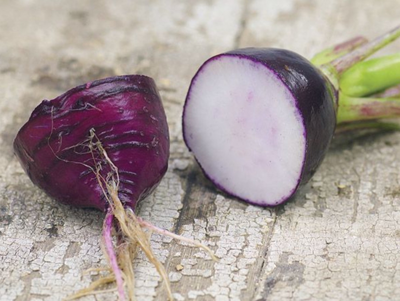 50+ Purple Plum Radish Seeds ——————– Heirloom – NON GMO – Organic