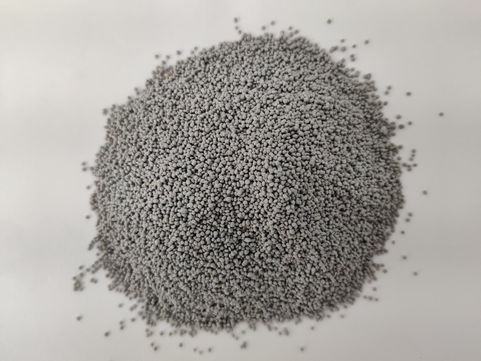 White Dutch Clover Seed Coated Perennial Lawn Pasture Cover Crop Deer Food Plot