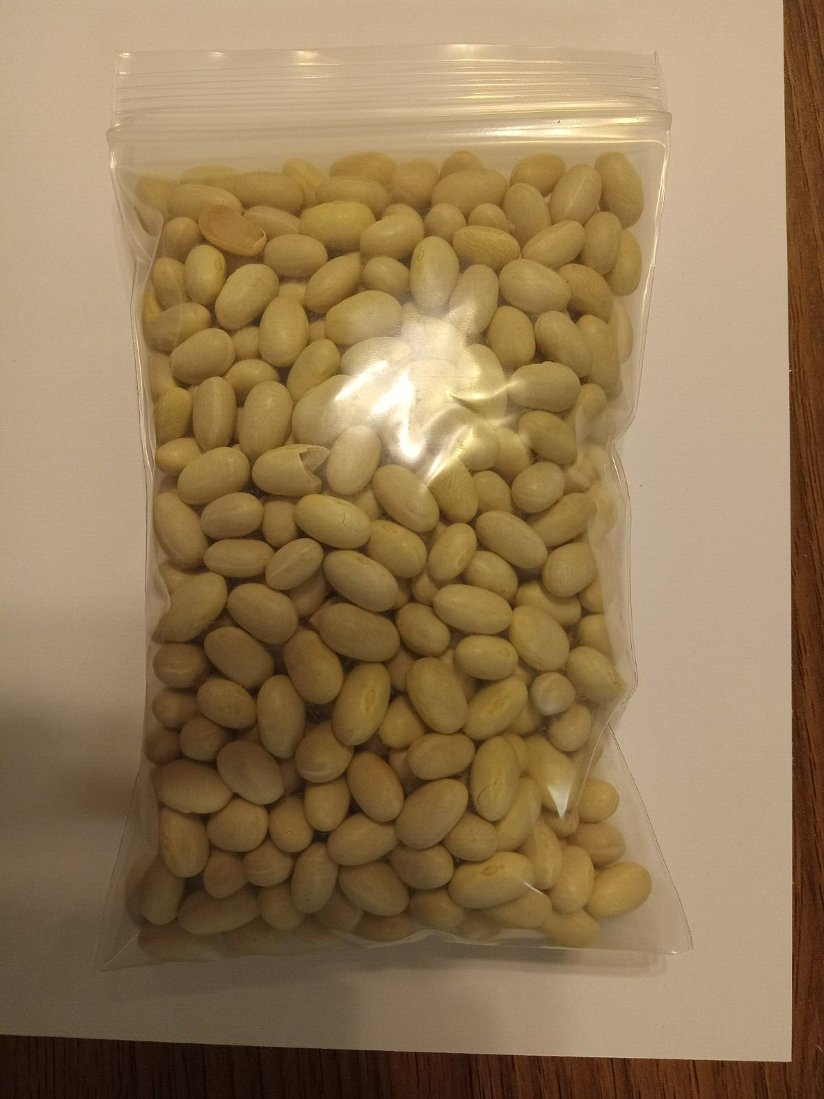 Roma Green (Bush) Beans. Approximately 400 seeds