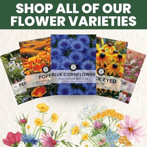 Blue Cornflower Seeds – 4,000 Premium Seeds for Planting – 1 Ounce Pouch, 2026