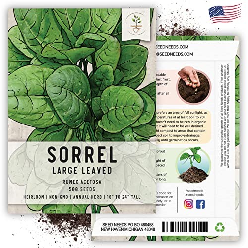 Large Leaf Sorrel Seeds for Planting – Heirloom Non-GMO & Untreated Medicinal