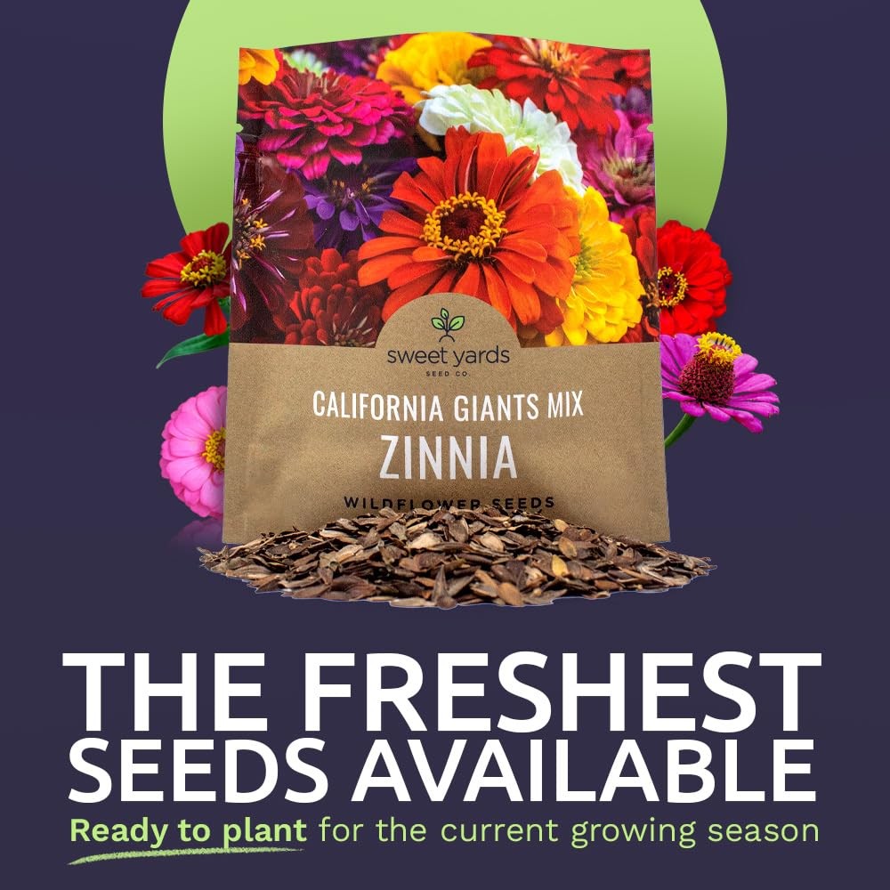 Zinnia Seeds California Giants Mix 1 Ounce 3000 Flower Seeds Mixed Colors Large