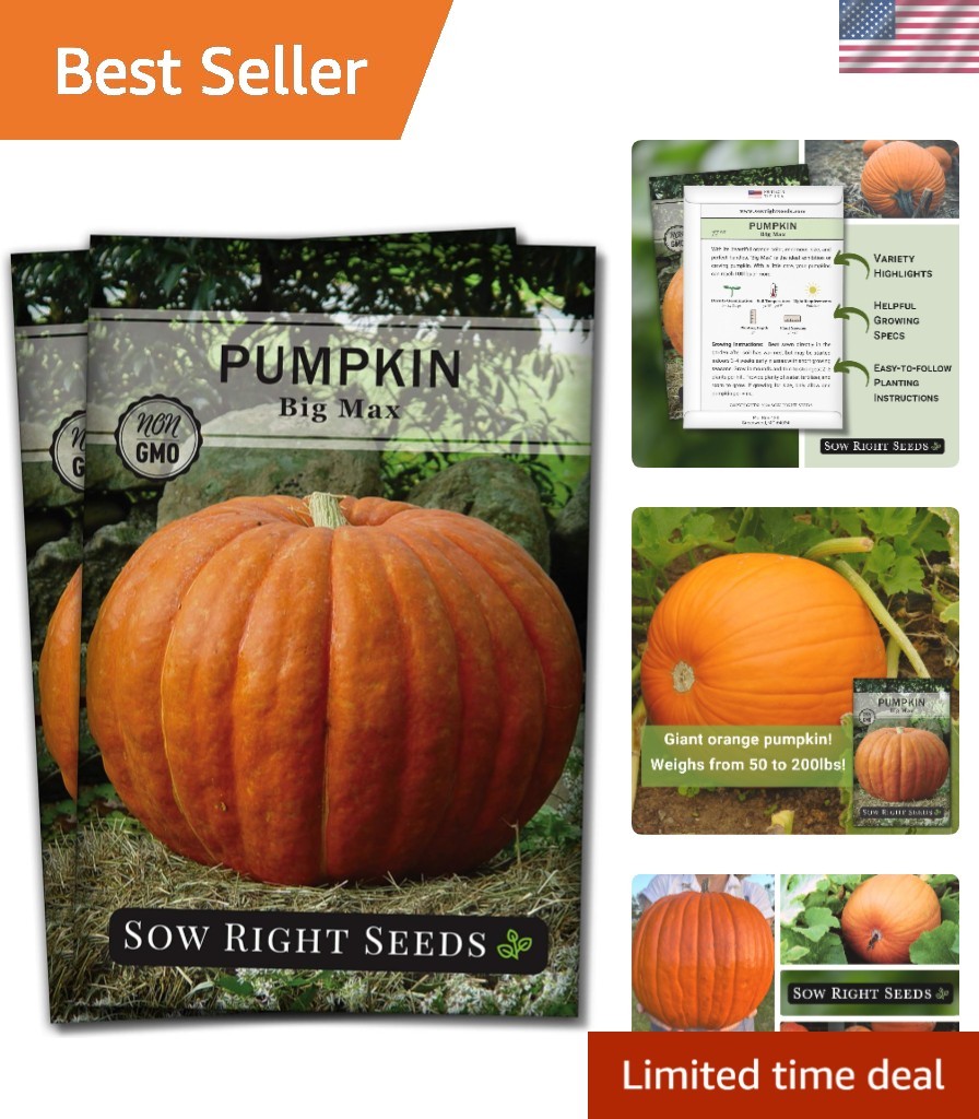Big Max Non-GMO Pumpkin Seeds – High Germination Heirloom Variety for Gardeners