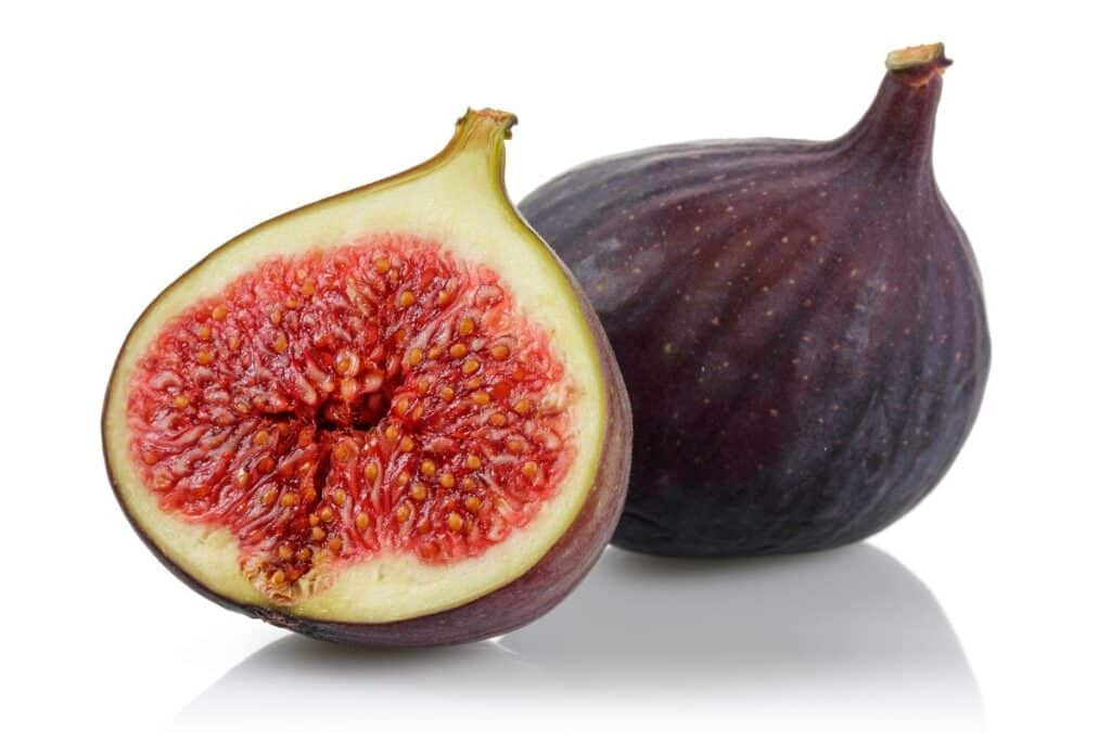 100+ Osborne Prolific Fig Seeds for Garden Planting – USA – FREE SHIPPING!