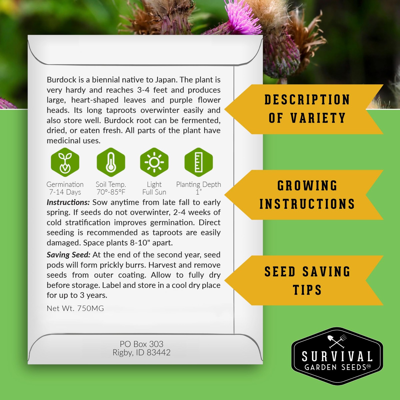 Herbal Seed Collection Plantain, JoePye Weed, St John’s Wort, Valerian,