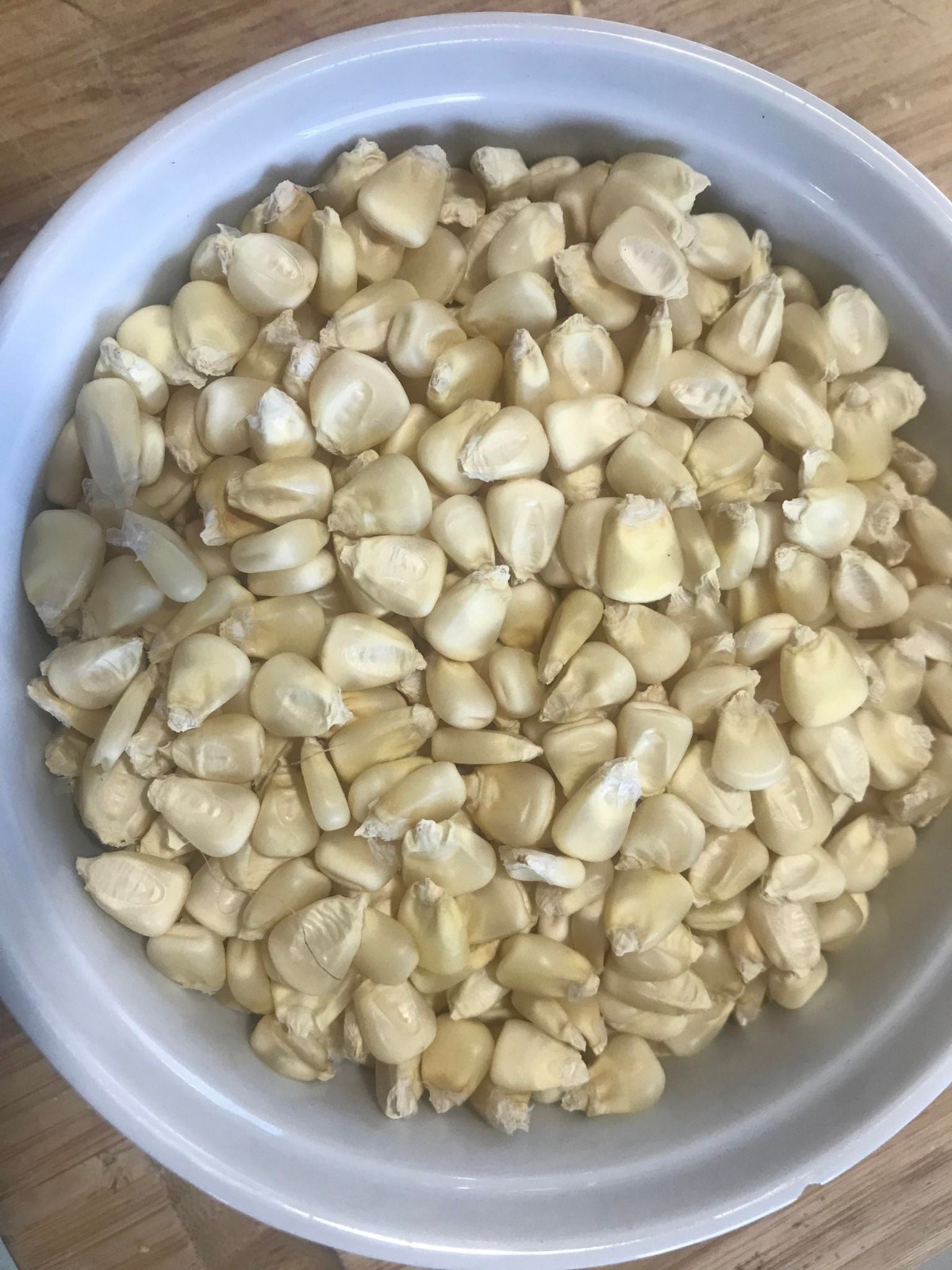 Oaxacan White Bolita Corn Seeds (50) / MEXICAN HEIRLOOM / QUESADILLAS / RARE