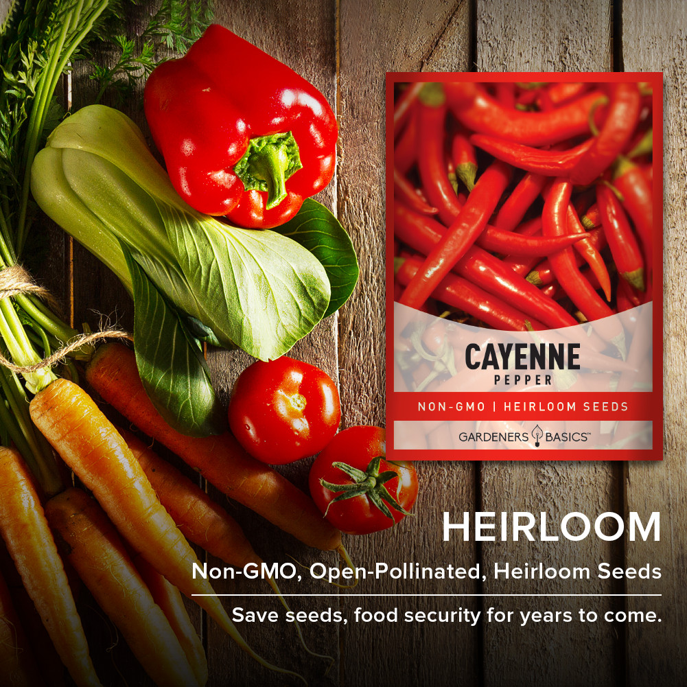 Cayenne Pepper Seeds