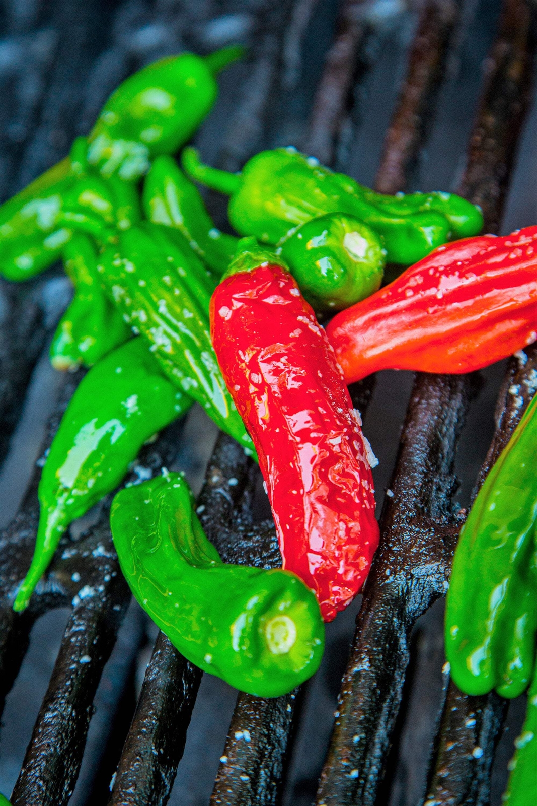 50 SHISHITO PEPPER Green to Red Mild Japanese Chili Capsicum Vegetable Seeds