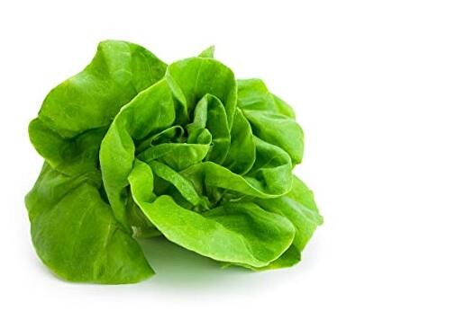Buttercrunch Butterhead Lettuce Seeds, 1000 Heirloom Seeds Per Packet, (), Non