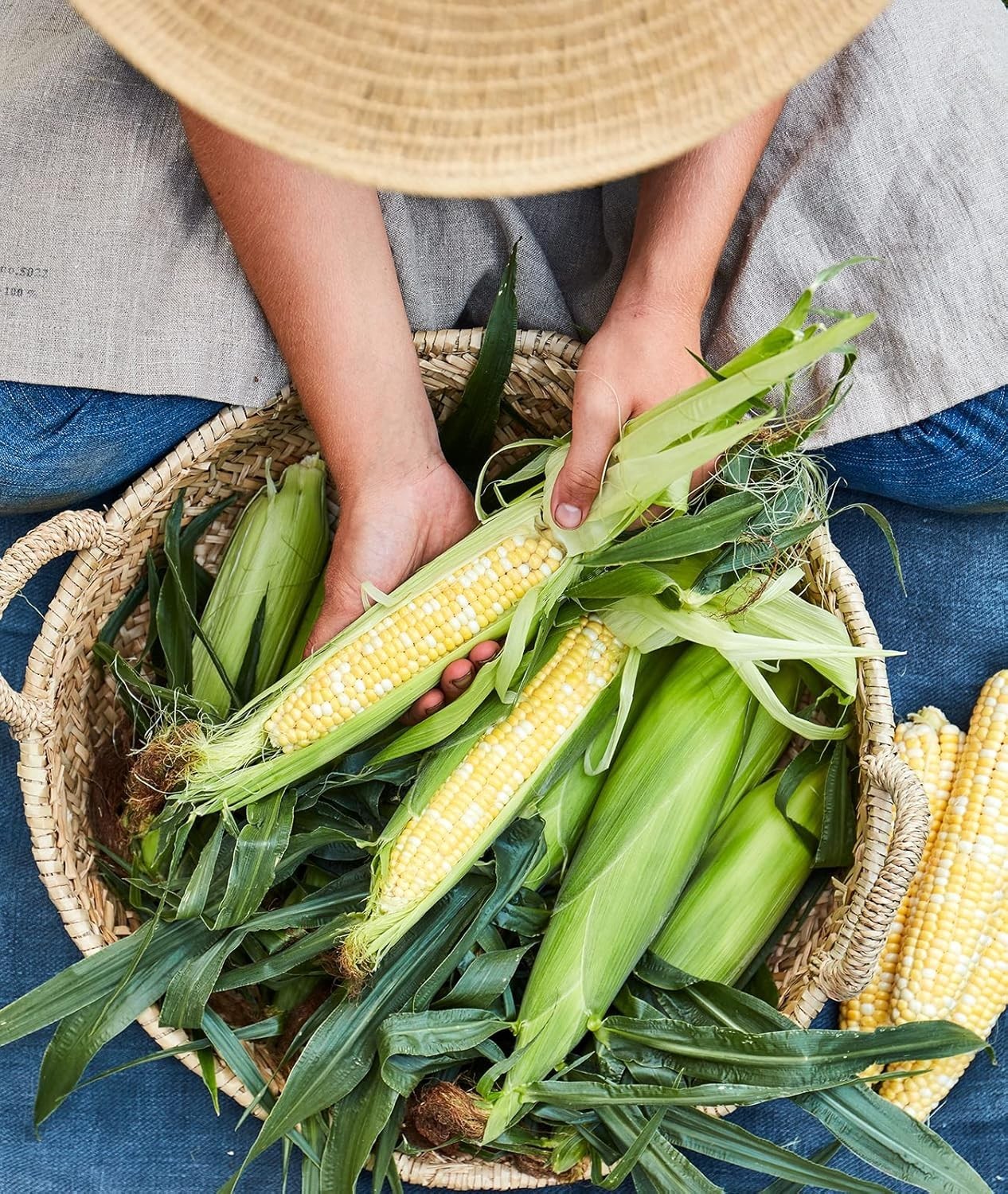 GMO-Free Peaches & Cream Sweet Corn Seeds – 200 Seeds for Flavorful Harvests