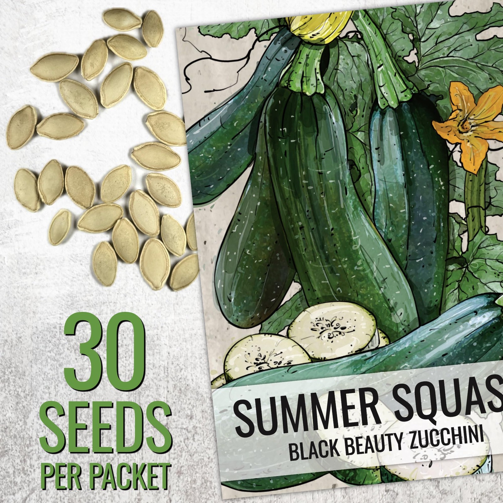 Black Beauty Squash Seeds NonGMO Heirloom Zucchini for Home Garden 2 Packs