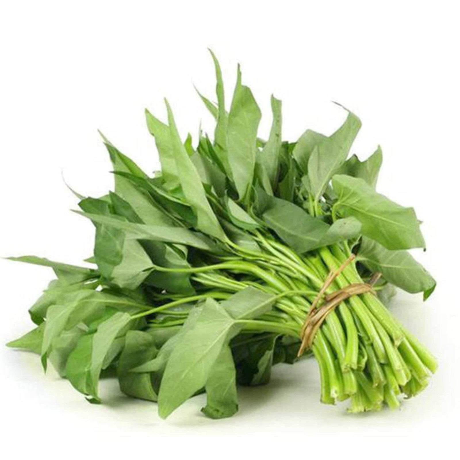 Dichmag 1000+ Kong Xin CAI Seeds for Yard & Garden – Non-GMO Rau Muong White