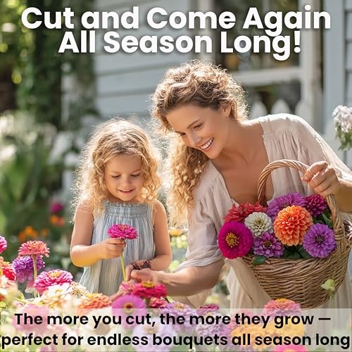 Zinnia Seeds for 2026 Planting Outdoors, Over 550 Dahlia Mix Multi Color