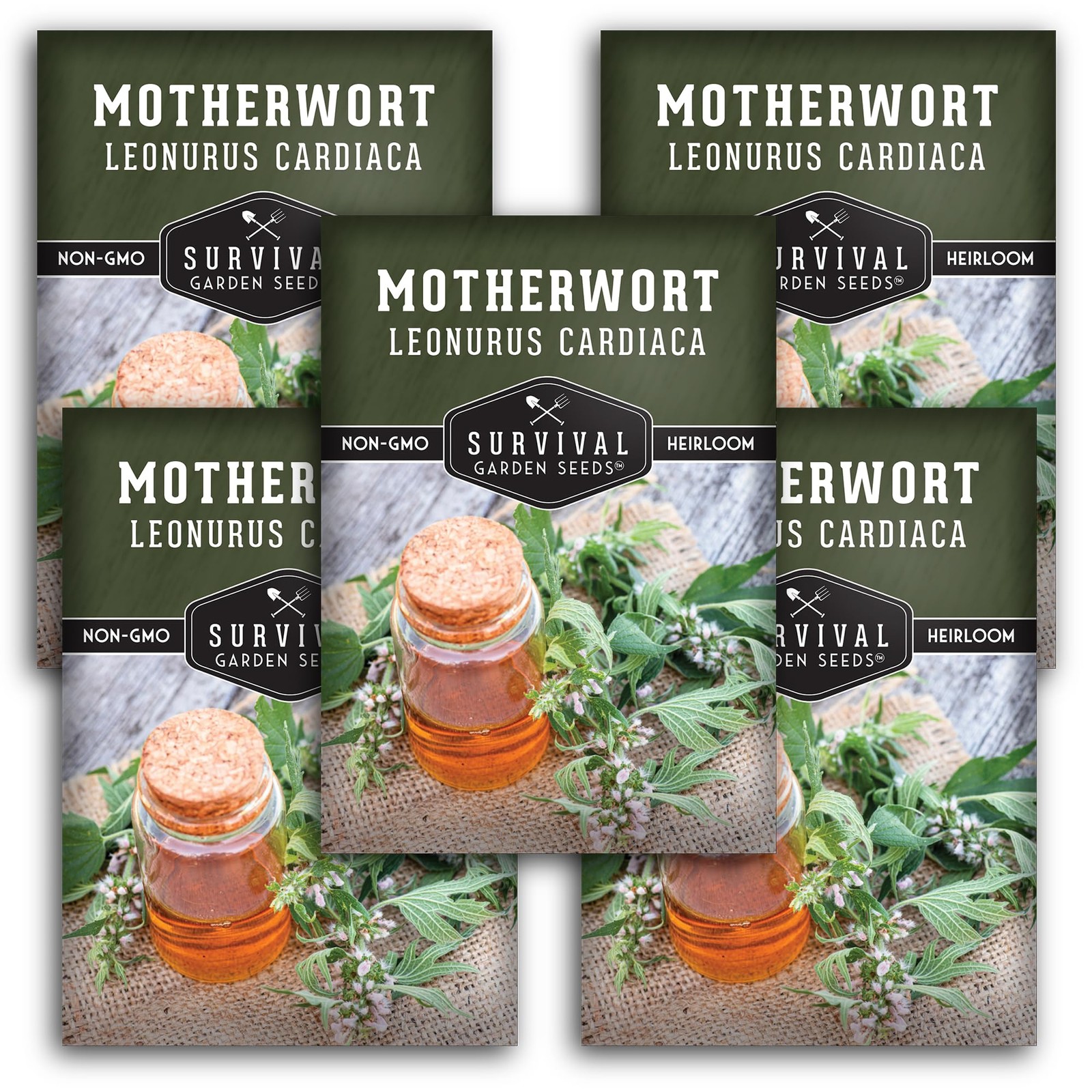 Motherwort Seeds Grow Medicinal Lion’s Tail Herbs in Your Home Garden