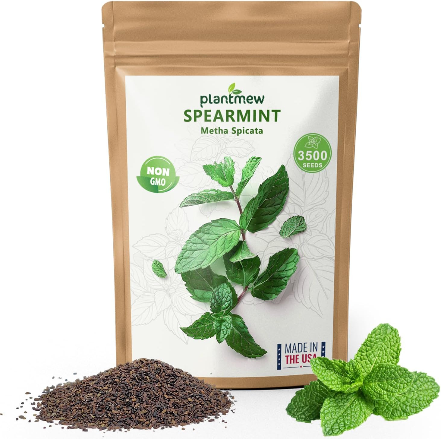 Mint Seeds for Planting – 3500 Spearmint Seeds, Non-Gmo & Heirloom Perennial Her