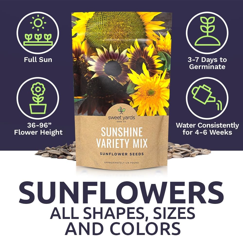 Bulk Sunflower Seeds – Variety Mix 10 Types of Beautiful Sunflowers – 1/4 Pou…