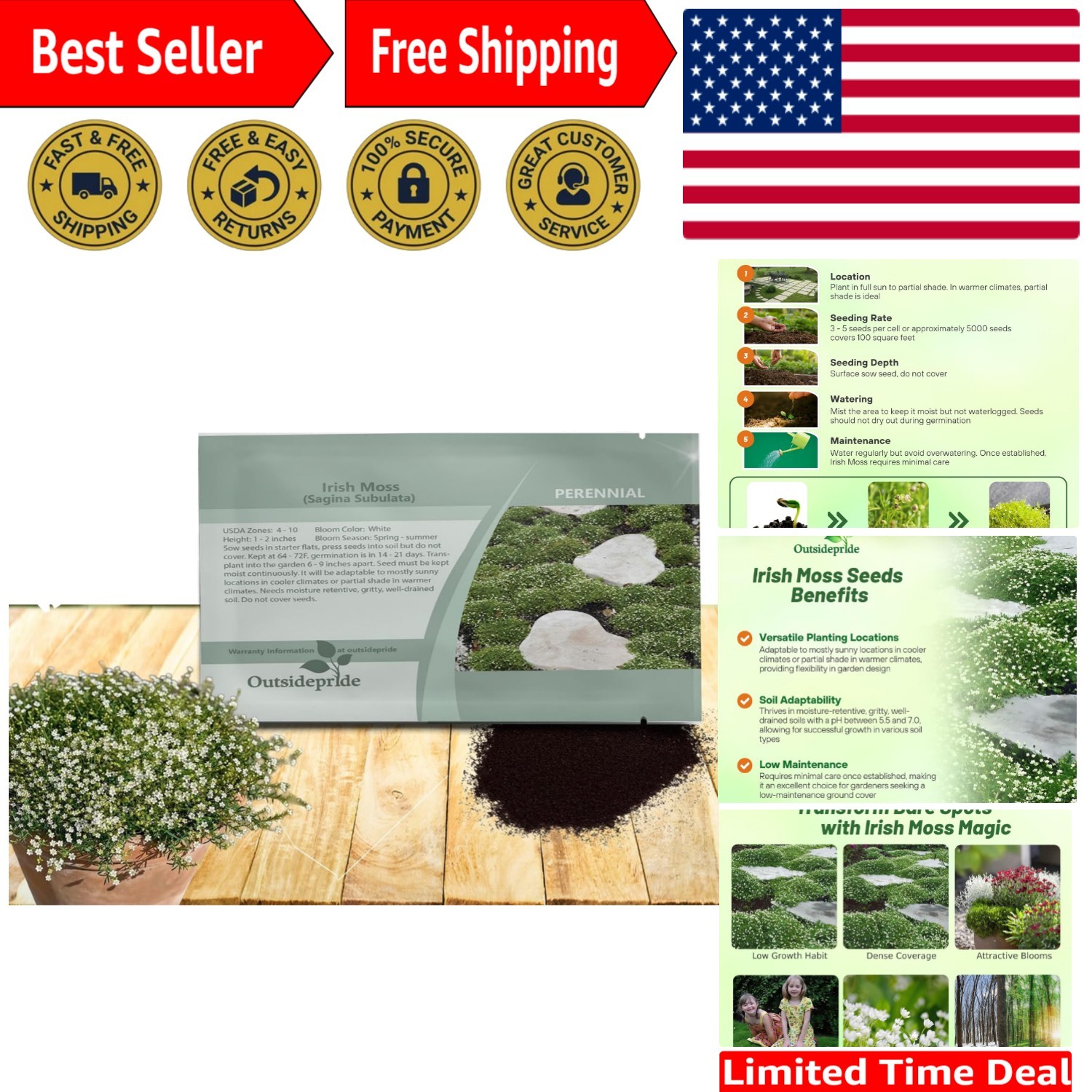 Low-Maintenance Irish Moss Seeds – 10000 Pcs Perennial for Eco-Friendly Gardens